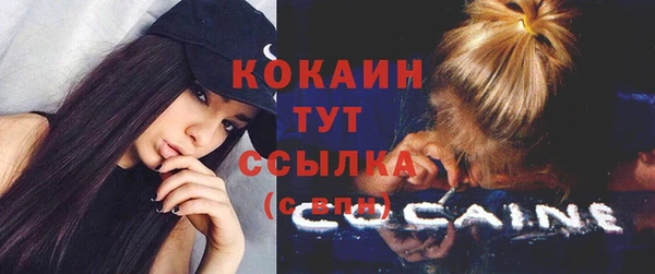 крисы Вязьма
