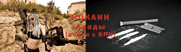 ПСИЛОЦИБИНОВЫЕ ГРИБЫ Вязники