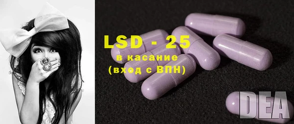 ПСИЛОЦИБИНОВЫЕ ГРИБЫ Вязники