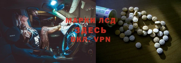 ПСИЛОЦИБИНОВЫЕ ГРИБЫ Вязники