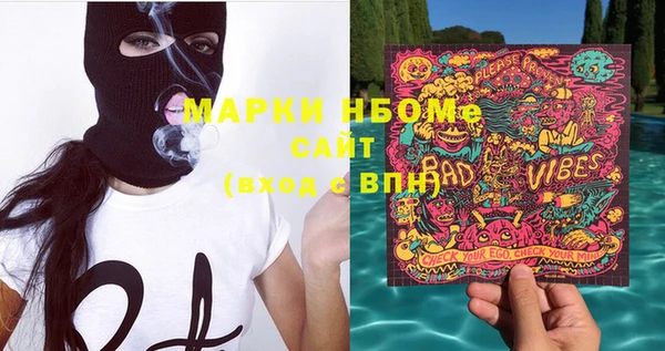 ПСИЛОЦИБИНОВЫЕ ГРИБЫ Вязники