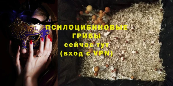 крисы Вязьма