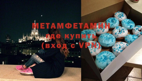 ПСИЛОЦИБИНОВЫЕ ГРИБЫ Вязники