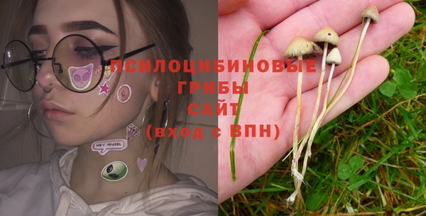 крисы Вязьма