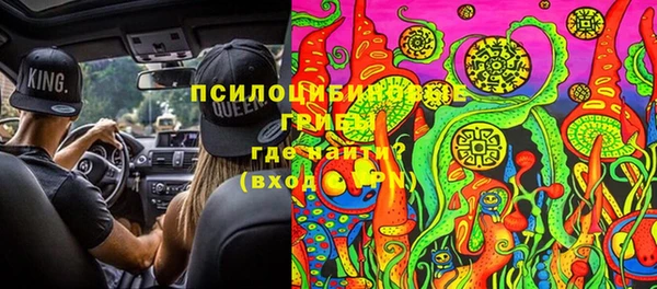 крисы Вязьма