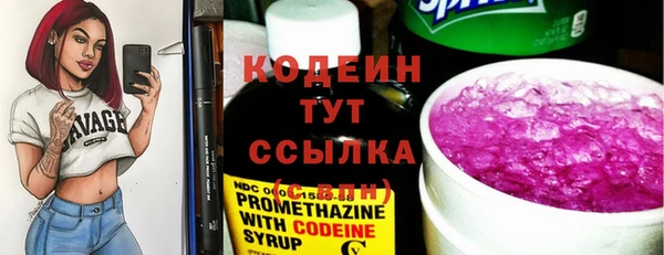 ПСИЛОЦИБИНОВЫЕ ГРИБЫ Вязники