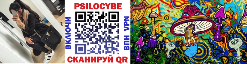 Псилоцибиновые грибы Cubensis  наркошоп  Муром 
